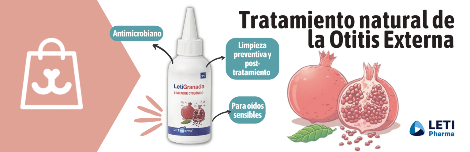 Tratamiento Natural Para La Otitis Externa Riovet