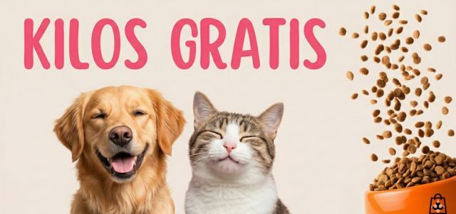 KILOSGRATIS_20260227