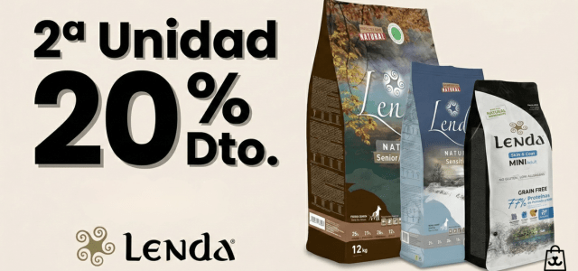 LENDAud_20260227