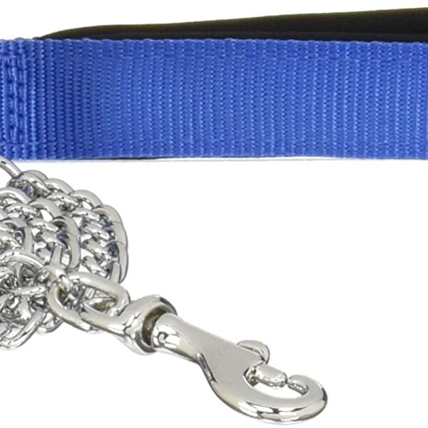 Ferplast Correa Nylo Daytona Gm25 100 Azul