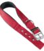 Ferplast Collar Nylon Daytona C 30 55 Rojo