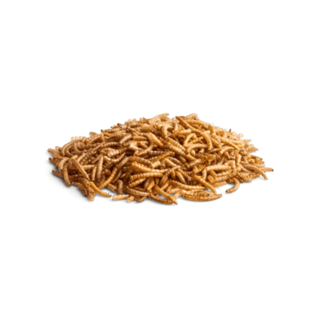 Bunny Larvas Gusanos Pack Ahorro 6X35 Gr (1)