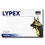 Lypex Blister Problemas Páncreas 60 Cápsulas