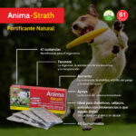Anima-Strath es un fortificante natural recomendado como apoyo nutricional en: Animales de compañía de edad avanzada Cachorros y gatitos Recuperaciones, convalecencias