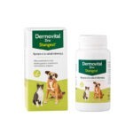 Dermovital Zinc 60 Comprimidos