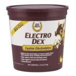 Electro Dex 2