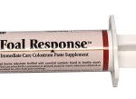 Foal Response Jeringa