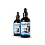 Kaminox Gatos 60 Ml