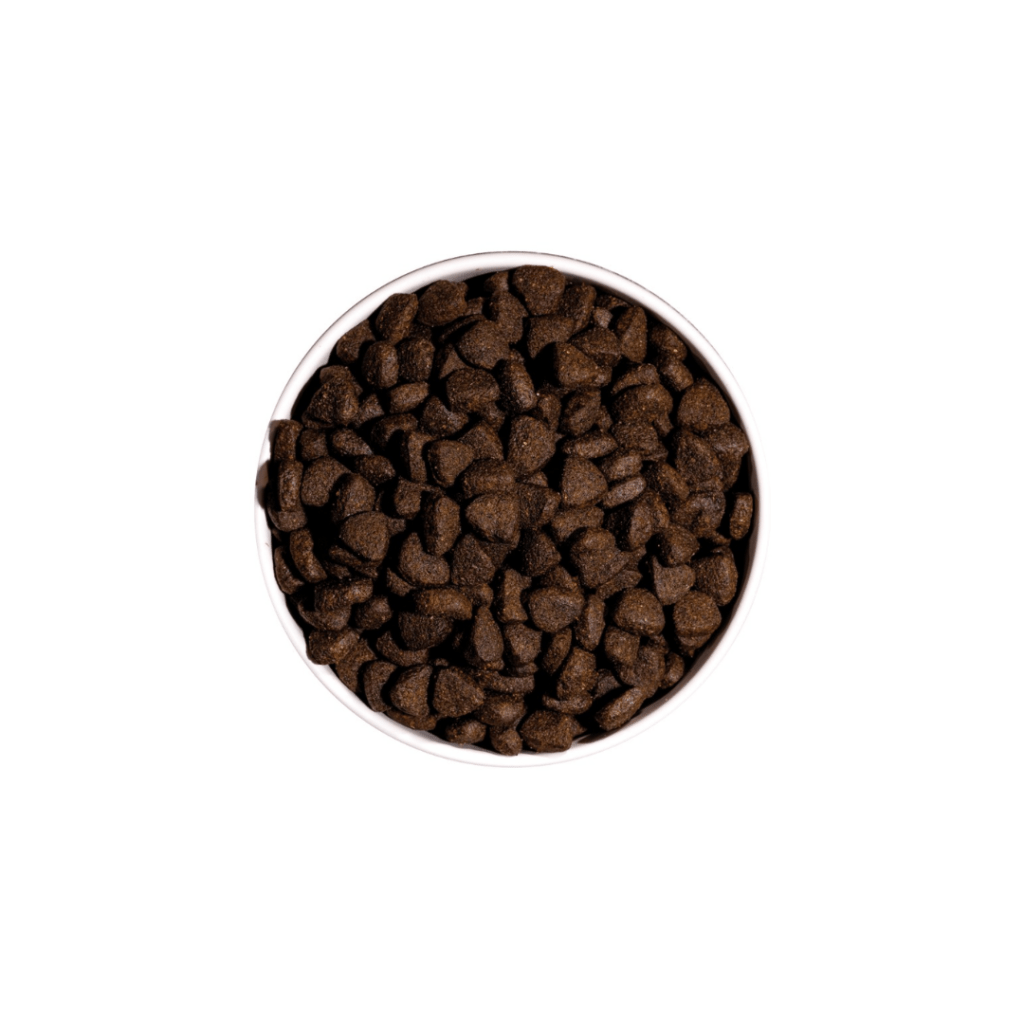 Ownat-Just-Perro-Adulto-Sin-Cereales-Salmon-1.png