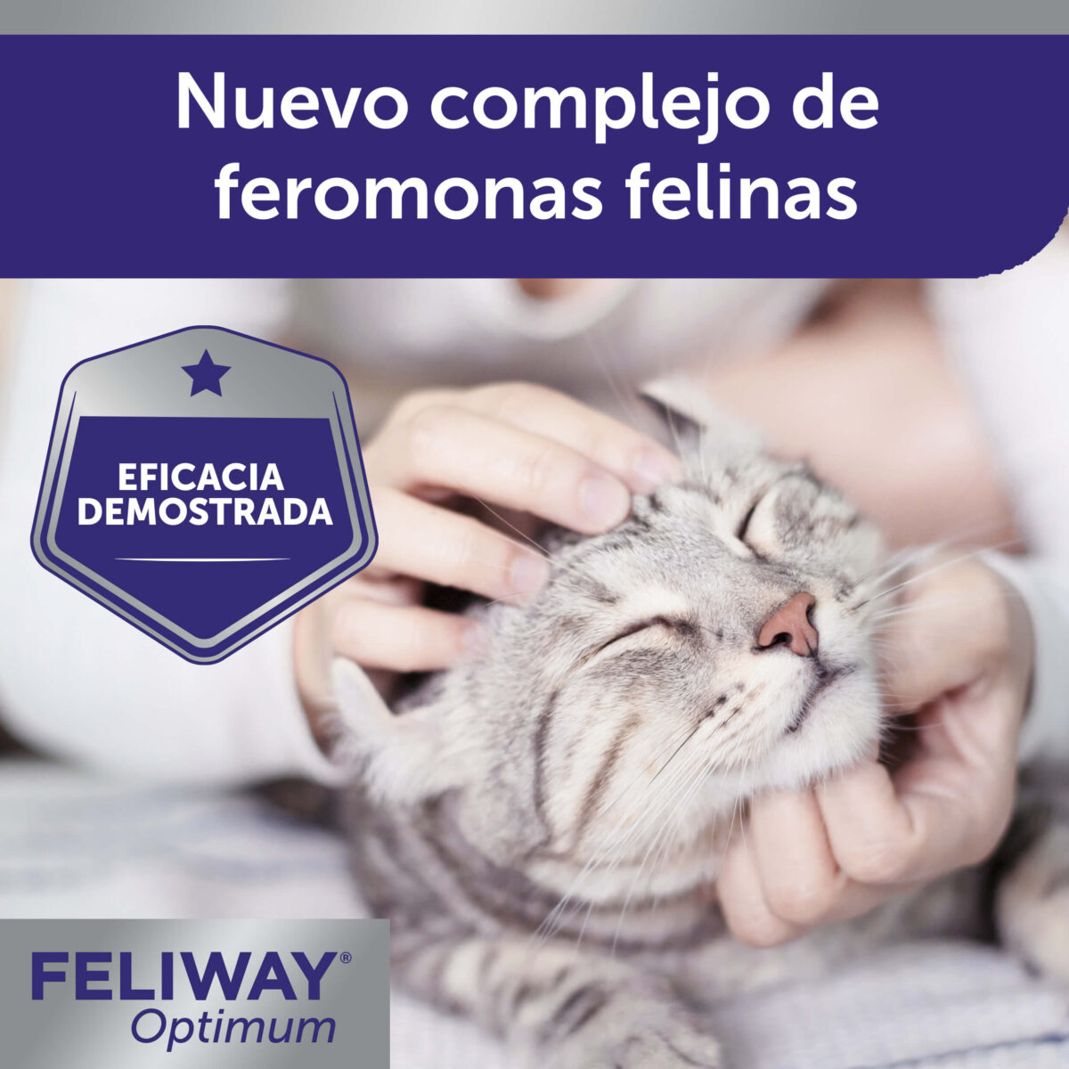 Feliway Spray feromona tranquilizante para gatos