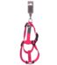 Wouapy Arnes Basic Line Fucsia 25Mm/63-97Cm