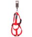 Wouapy Arnes Basic Line Rojo 40Mm/74-117Cm