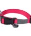 Wouapy Collar Basic Line Fucsia 25Mm/44-65Cm