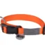 Wouapy Collar Basic Line Naranja 40Mm/45-72Cm