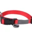 Wouapy Collar Basic Line Rojo 40Mm/45-72Cm