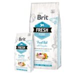 Brit Fresh Perro Adulto Razas Grandes Músculos & Articulaciones Pescado Y Calabaza 12 Kg