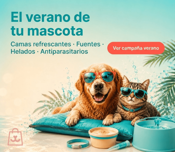 CAMPAÑA JULIO VERANO_MOVIL