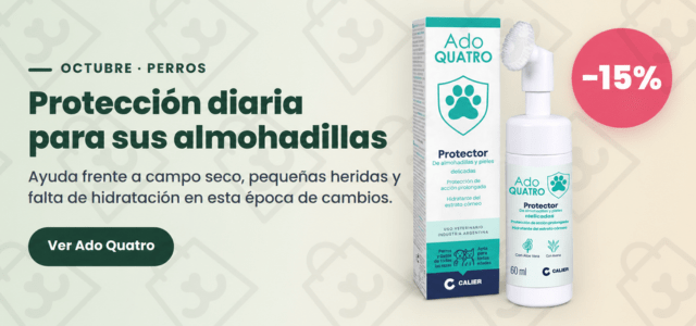 ADOQUATRO (2)
