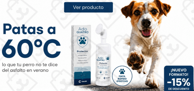 ADOQUATRO