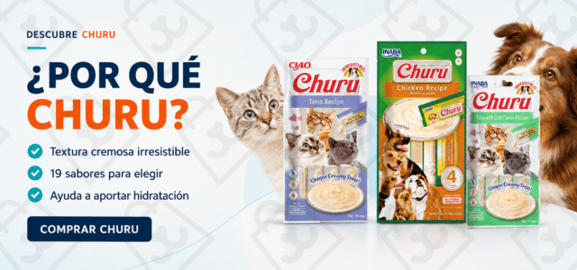 PORQUECHURU
