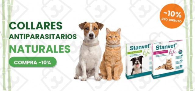 STANVET COLLARS