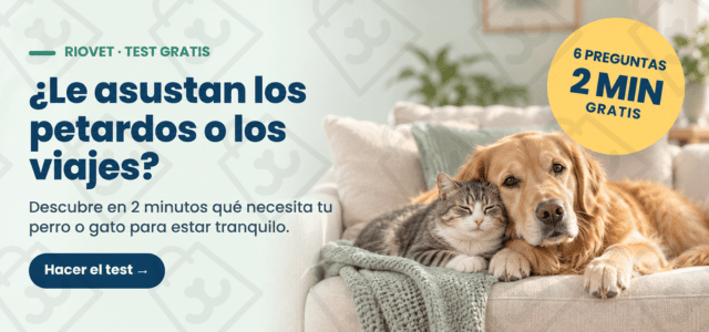 TEST MIEDOS