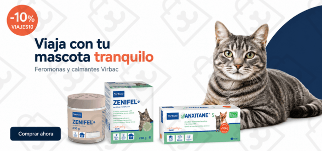 ZENIFEL_VERANO