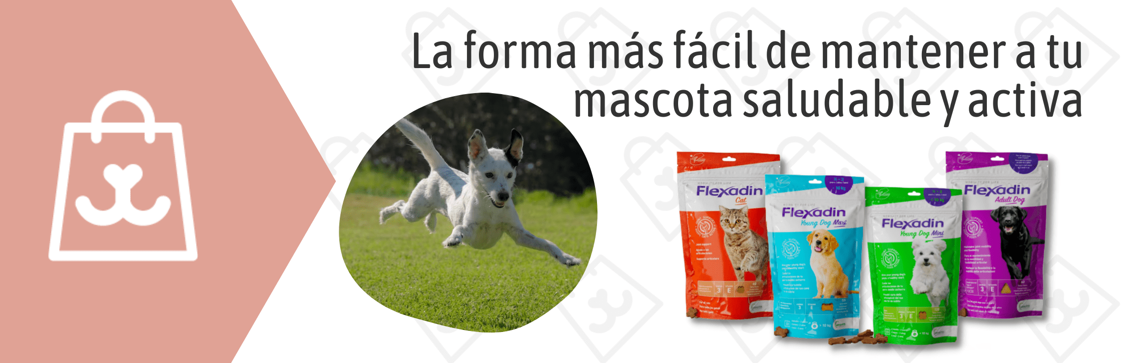 Te explicamos cómo mantener a tu perro o gato saludable y activo con una solución fácil y deliciosa.