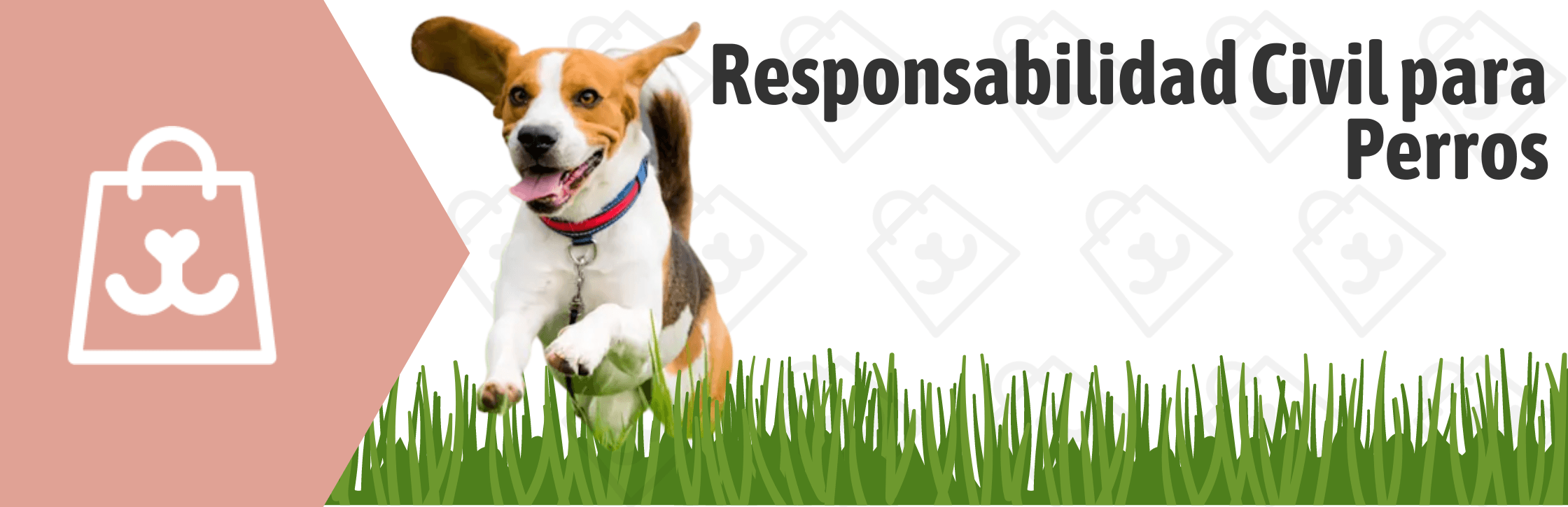 Responsabilidad Civil para Perros