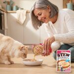 Gato comiendo Churu Stew pollo con salmón