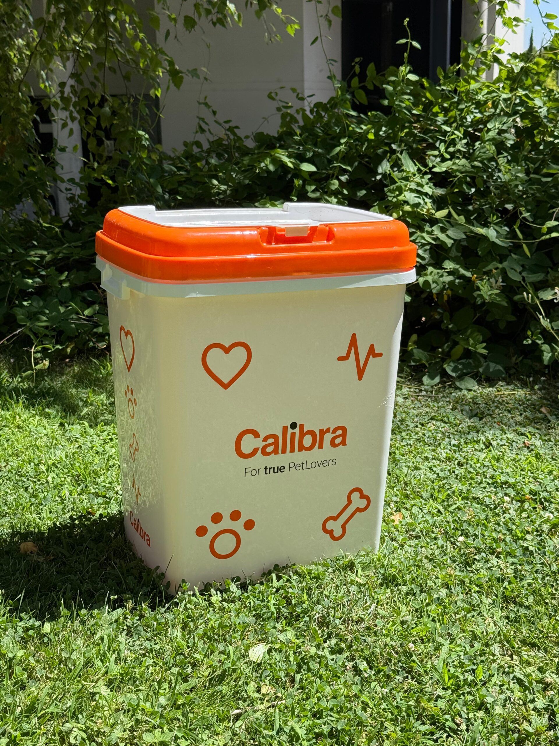 WhatsApp Image 2025-07-28 at 13.42.59 (1)