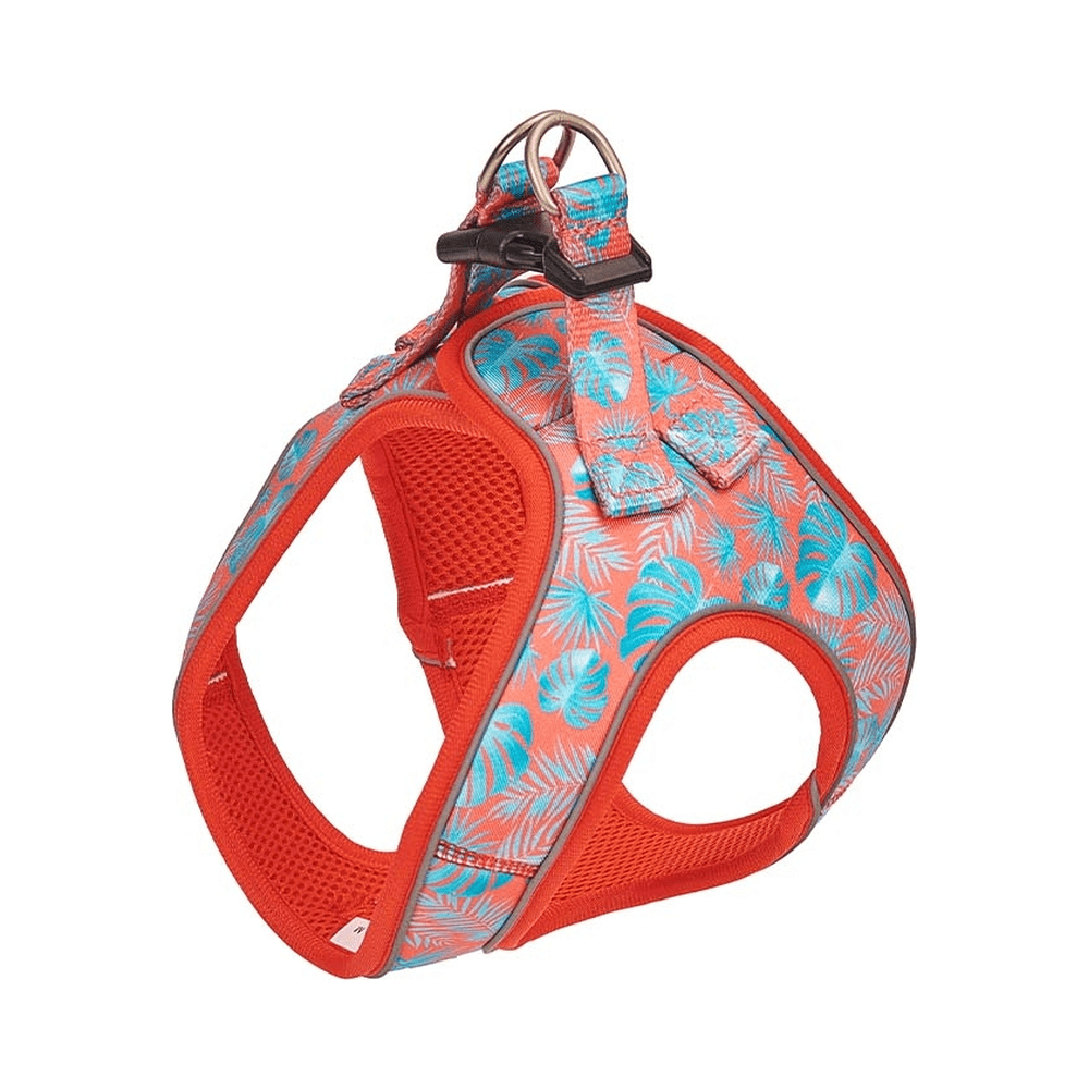 freedog-arnes-coral-palm