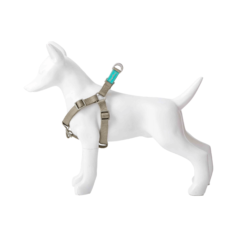 freedog-arnes-nylon-basic-tipo-a-verde-salvia
