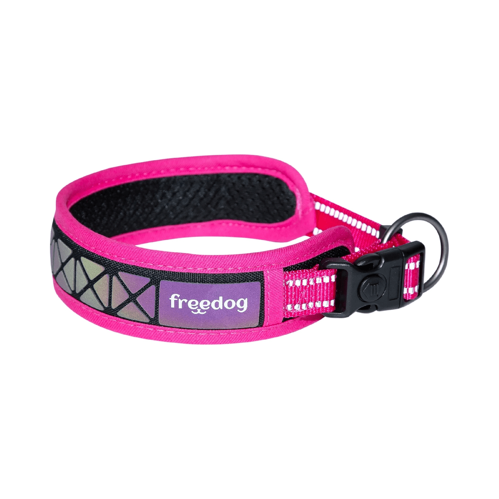 freedog-collar-boreal-fucsia