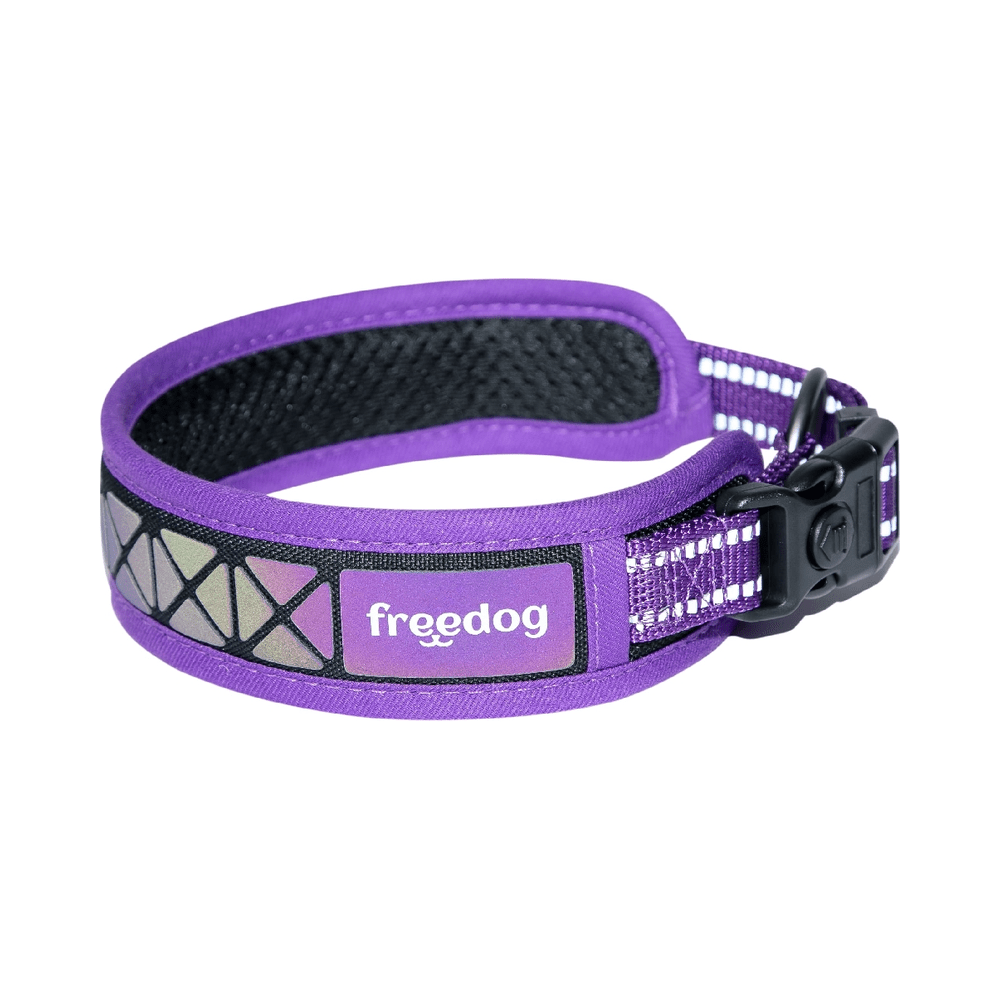 freedog-collar-boreal-lila