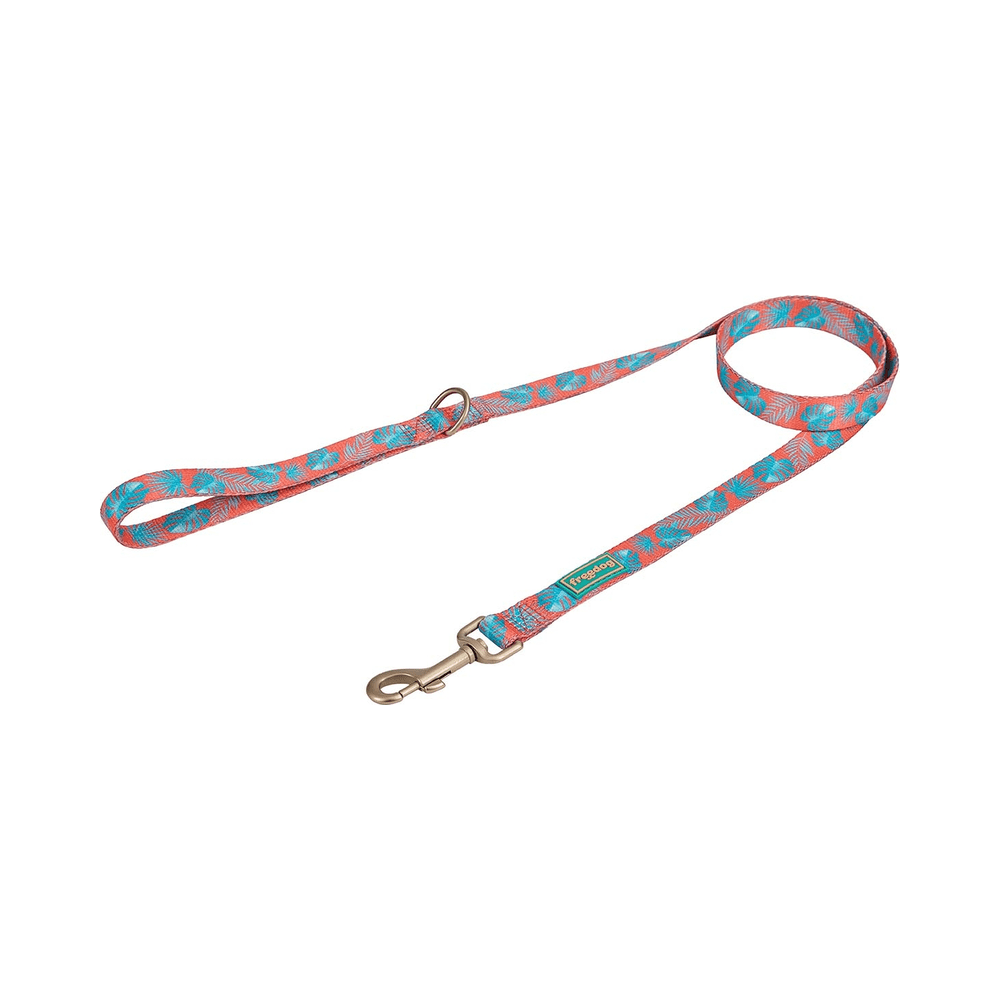 freedog-correa-coral-palm