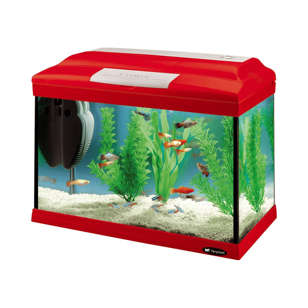 ferplast-acuario-cayman-40-colorido-41-5x21-5x34cm-21l