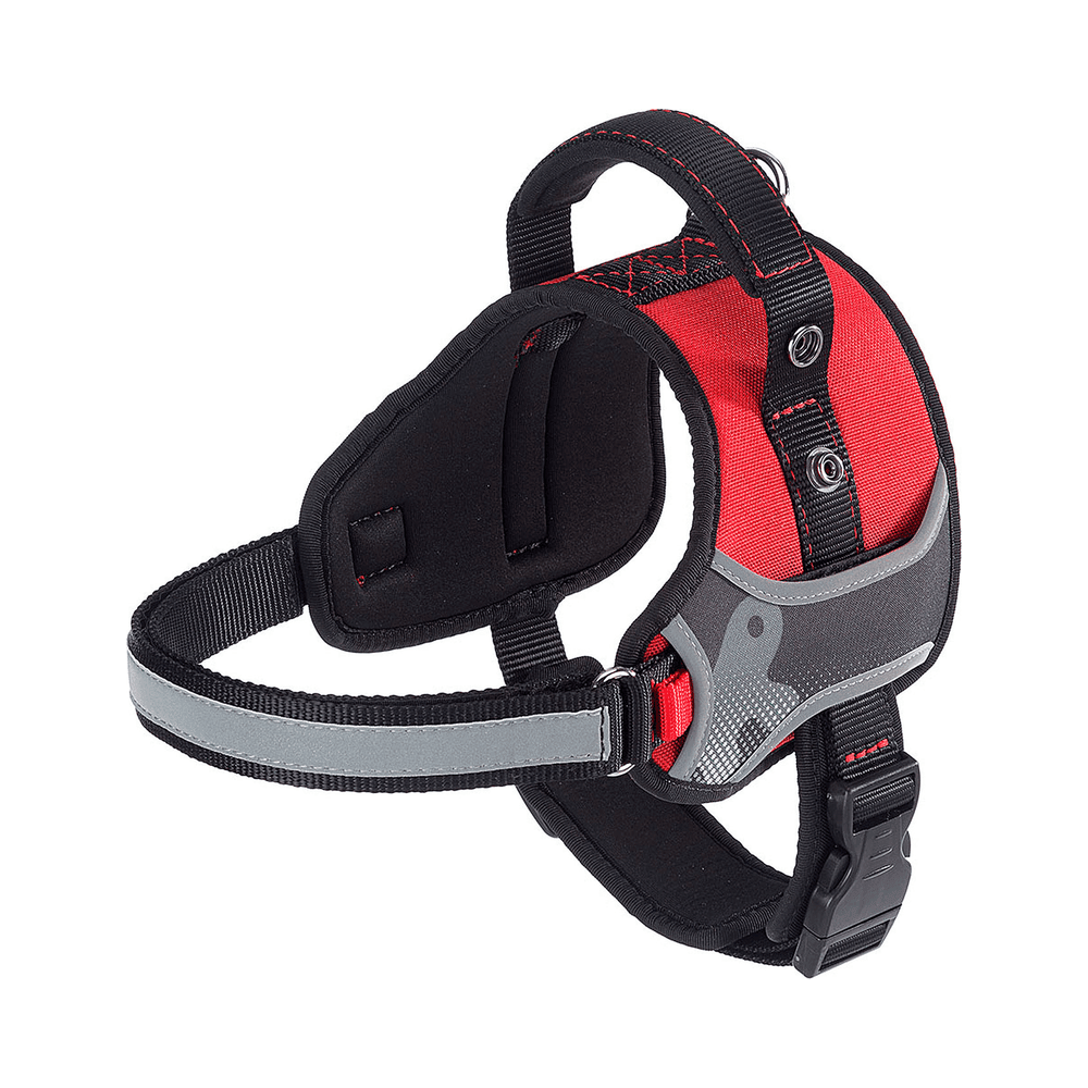 ferplast-arnes-hercules-medium-rojo