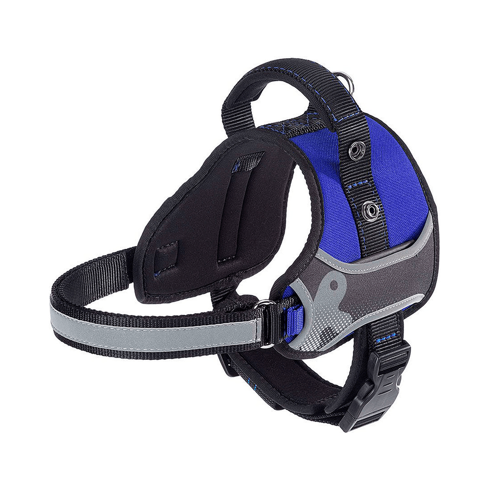ferplast-arnes-hercules-p-s-azul