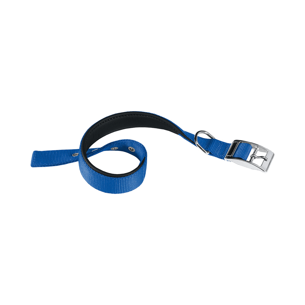 ferplast-collar-nylon-daytona-c-talla-maxi-azul