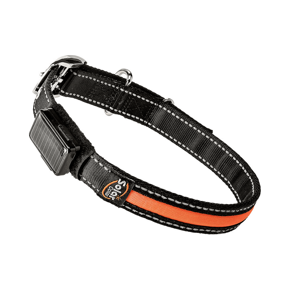 ferplast-collar-solar-night-medium