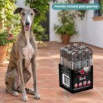 Perro junto a Barritas de Jamón para Perros de Alpha Spirit
