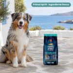 Perro junto a Primal Spirit 65% Oceanland Pienso para Perros Adultos de Alpha Spirit