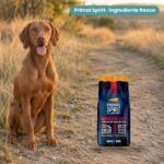 Perro junto a Primal Spirit 70% Wanderlust Pienso para Perros Adultos de Alpha Spirit
