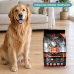 Perro junto a The Only One 7 Days Formula Pienso para Perros Adultos de Alpha Spirit