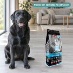 Perro junto a The Only One Wild Fish Pescado Pienso para Perros Adultos de Alpha Spirit