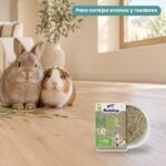 Conejo enano y cobaya junto a Bunny Nature Alfombra de Cáñamo Reversible para Conejos y Roedores 100 x 40 cm