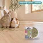 Conejo enano y cobaya junto a Bunny Nature Alfombra de Cáñamo y Kenaf Reversible para Conejos y Roedores 100 x 40 cm