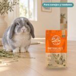 Conejo enano junto a Bunny Nature Botanicals Mid Mix Margarita y Trébol Rojo 120 g