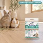 Conejo enano y cobaya junto a Bunny Nature bunnyBedding Absorber Lecho Absorbente para Conejos y Roedores 20 l